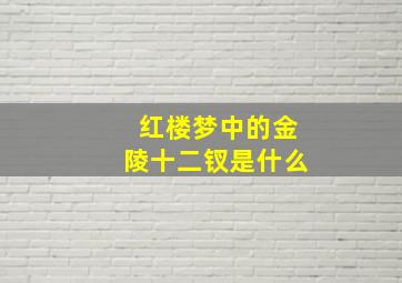 红楼梦中的金陵十二钗是什么