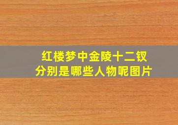 红楼梦中金陵十二钗分别是哪些人物呢图片