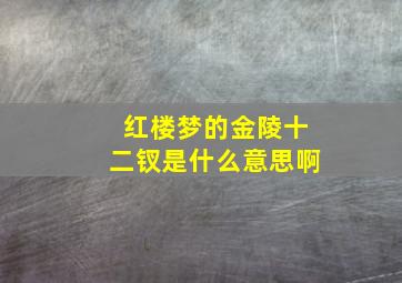 红楼梦的金陵十二钗是什么意思啊