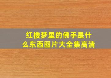 红楼梦里的佛手是什么东西图片大全集高清