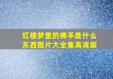 红楼梦里的佛手是什么东西图片大全集高清版