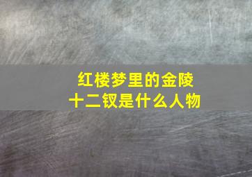 红楼梦里的金陵十二钗是什么人物