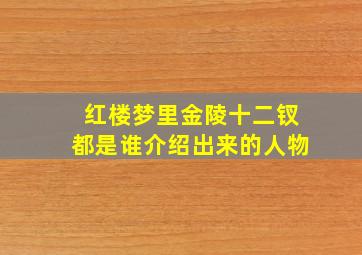 红楼梦里金陵十二钗都是谁介绍出来的人物