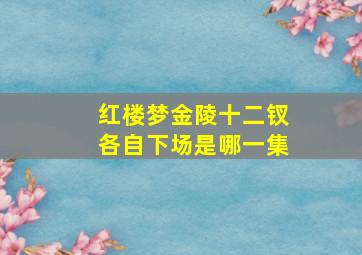 红楼梦金陵十二钗各自下场是哪一集