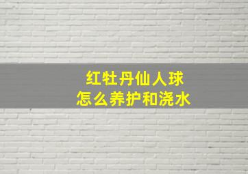 红牡丹仙人球怎么养护和浇水