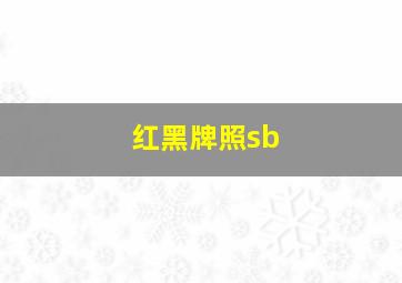 红黑牌照sb