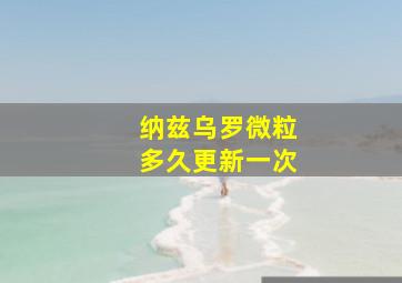 纳兹乌罗微粒多久更新一次