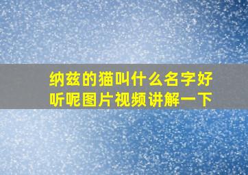 纳兹的猫叫什么名字好听呢图片视频讲解一下