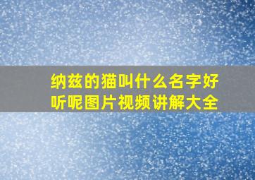 纳兹的猫叫什么名字好听呢图片视频讲解大全