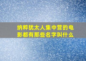 纳粹犹太人集中营的电影都有那些名字叫什么