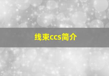 线束ccs简介