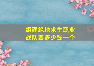 组建绝地求生职业战队要多少钱一个