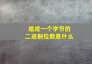 组成一个字节的二进制位数是什么