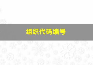 组织代码编号