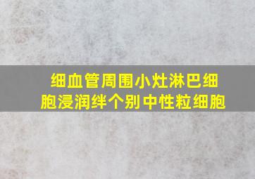 细血管周围小灶淋巴细胞浸润绊个别中性粒细胞