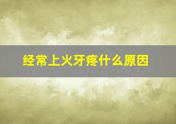 经常上火牙疼什么原因