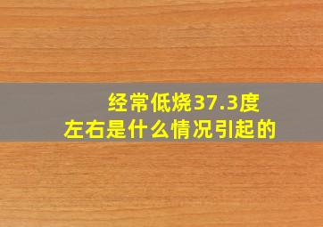 经常低烧37.3度左右是什么情况引起的