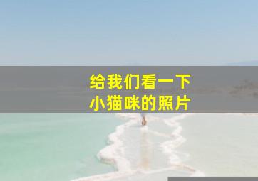 给我们看一下小猫咪的照片