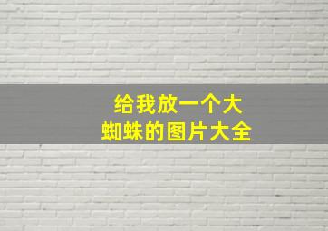 给我放一个大蜘蛛的图片大全