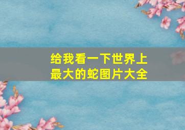 给我看一下世界上最大的蛇图片大全