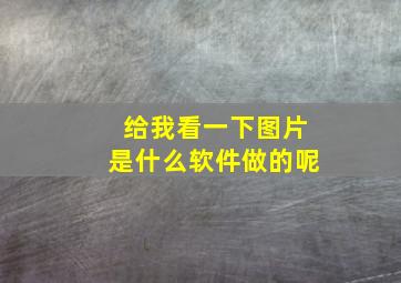 给我看一下图片是什么软件做的呢