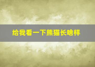 给我看一下熊猫长啥样