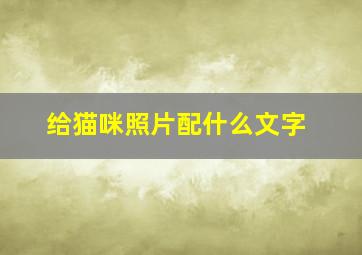 给猫咪照片配什么文字