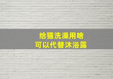 给猫洗澡用啥可以代替沐浴露