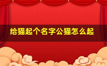 给猫起个名字公猫怎么起