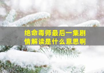 绝命毒师最后一集剧情解读是什么意思啊