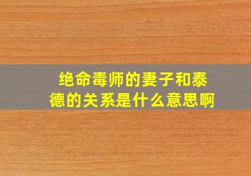 绝命毒师的妻子和泰德的关系是什么意思啊