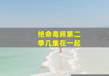 绝命毒师第二季几集在一起