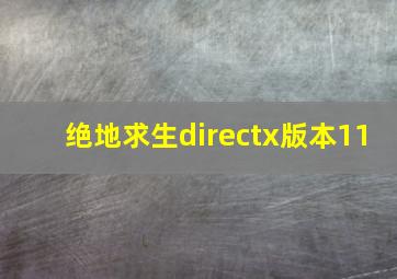 绝地求生directx版本11