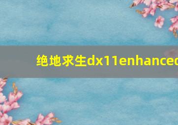 绝地求生dx11enhanced