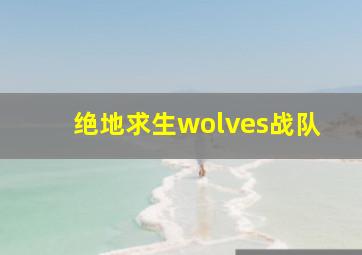 绝地求生wolves战队