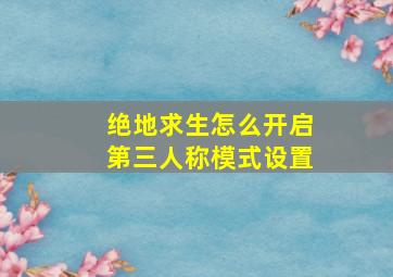 绝地求生怎么开启第三人称模式设置