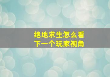 绝地求生怎么看下一个玩家视角