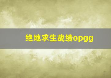 绝地求生战绩opgg