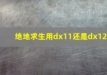 绝地求生用dx11还是dx12