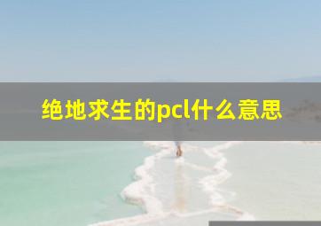 绝地求生的pcl什么意思