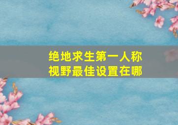 绝地求生第一人称视野最佳设置在哪