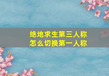 绝地求生第三人称怎么切换第一人称