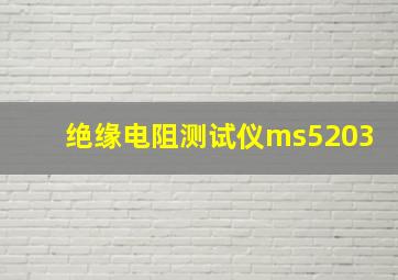 绝缘电阻测试仪ms5203