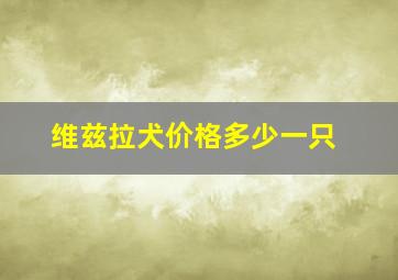 维兹拉犬价格多少一只