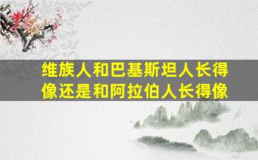 维族人和巴基斯坦人长得像还是和阿拉伯人长得像