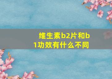 维生素b2片和b1功效有什么不同