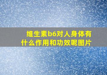 维生素b6对人身体有什么作用和功效呢图片