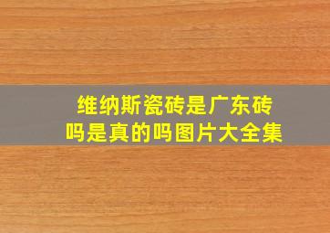 维纳斯瓷砖是广东砖吗是真的吗图片大全集