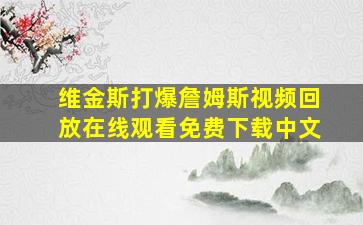 维金斯打爆詹姆斯视频回放在线观看免费下载中文