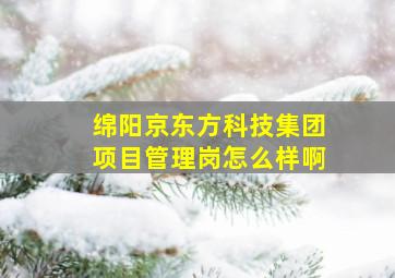 绵阳京东方科技集团项目管理岗怎么样啊